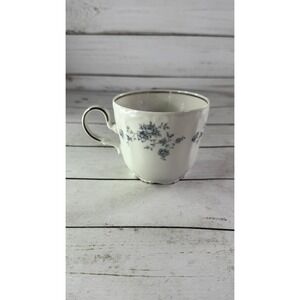 Johann Haviland Blue Garland Bavaria Germany Tea Cup Platinum Trim Replacement